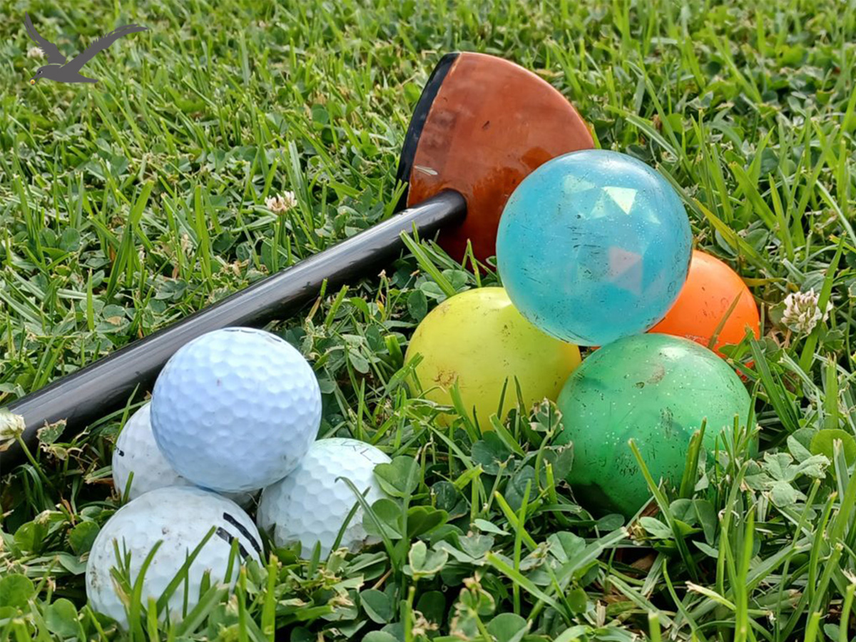 Mangfold av parkgolfballer