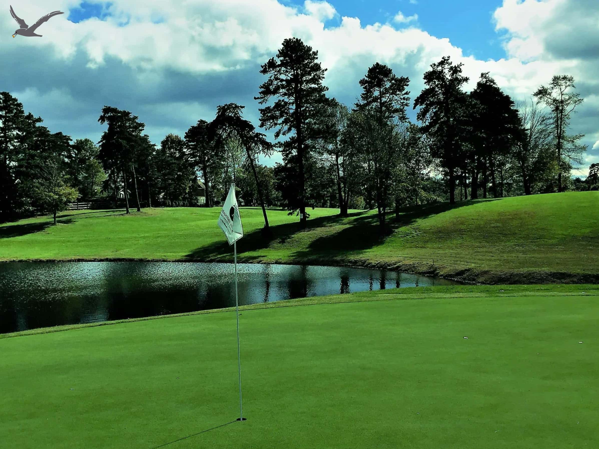 The Albatross Sports: 10 Rask Facts to Kown Golf (Del 1)